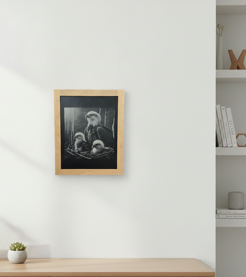 Bald Eagle Family Multi-Tone Laser Engraved Framed Wall Art (25x20cm), (approx. 10"x 8").