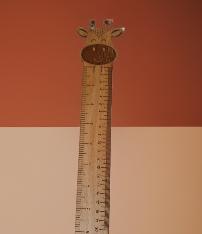 Order Ruller Personalised Children's Ruler with cute animal engraving. Treated Stea ...