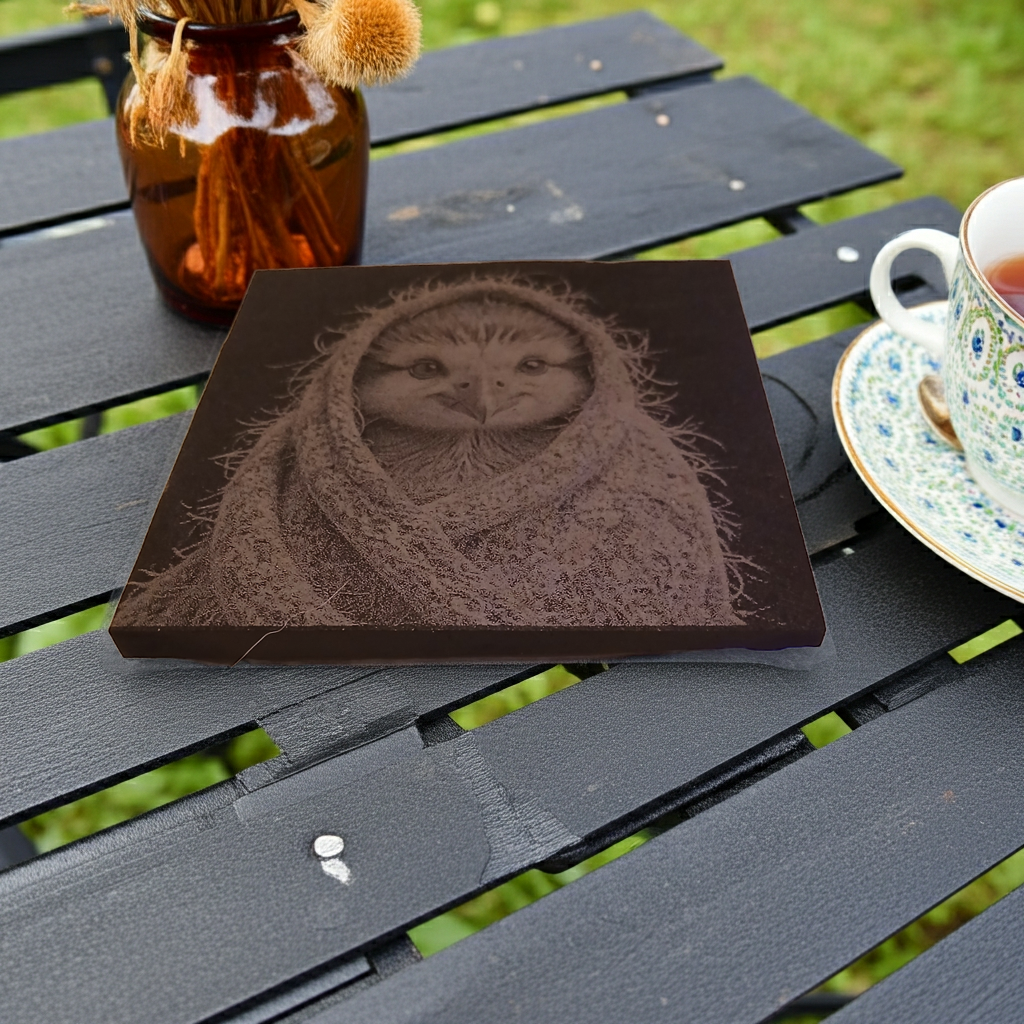 Set of 4, Cute Birdy in a shawl collection- Slate Coasters with Bumper Feet.
