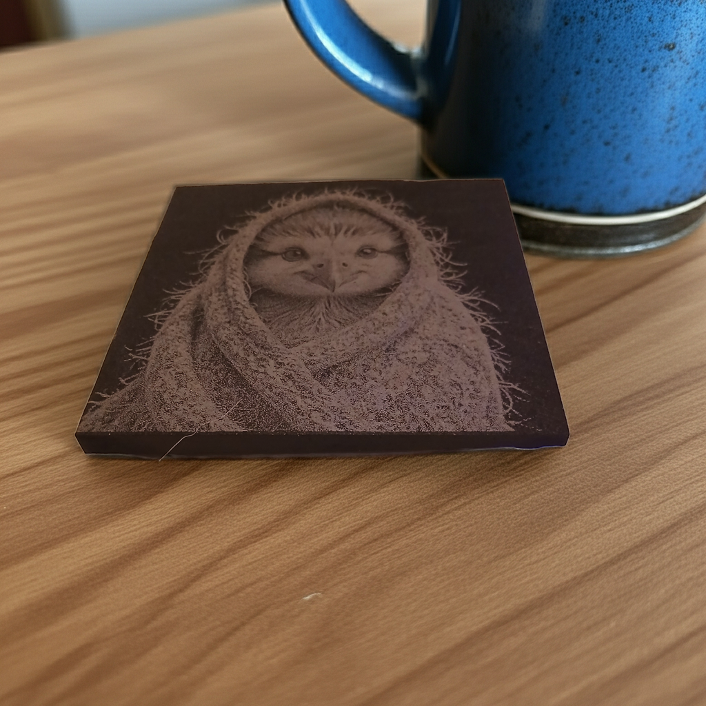 Set of 4, Cute Birdy in a shawl collection- Slate Coasters with Bumper Feet.